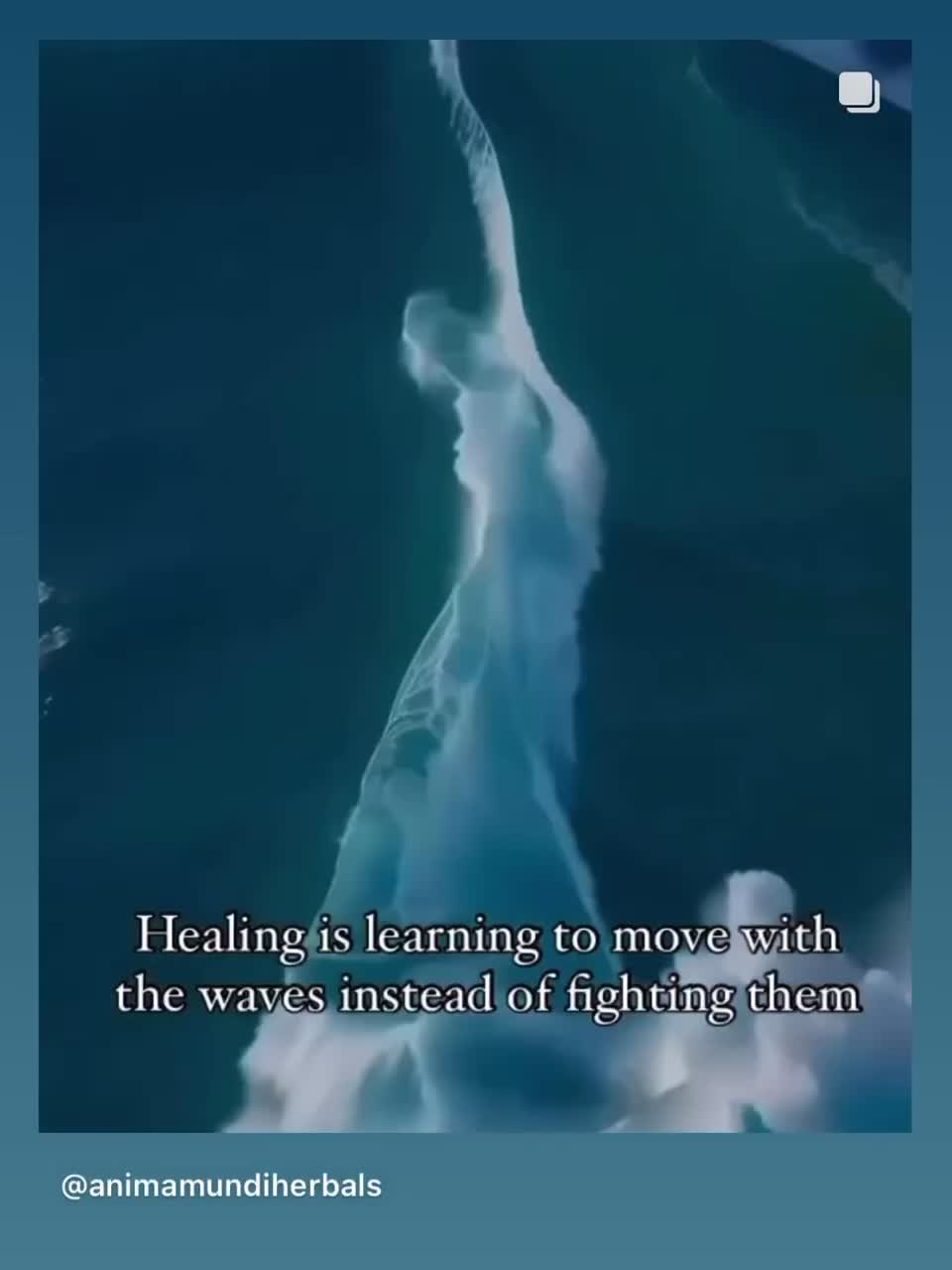 Learn to ride those waves, my fellow wanderer. #thedailywanders #oneness #guidinguniversalspirit