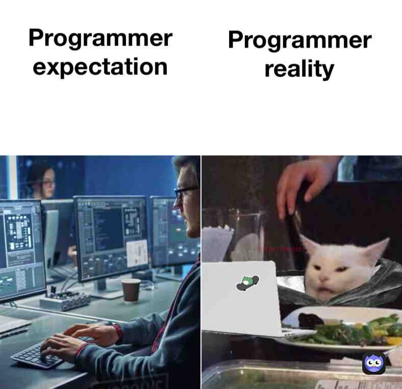  #programmer