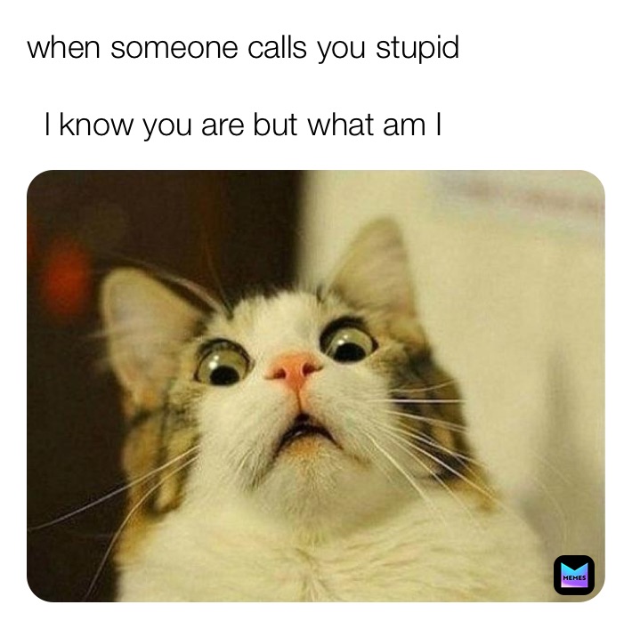 Meme by @nindrew