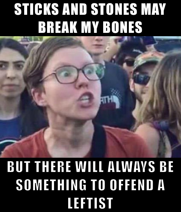 STICKS AND STONES MAY BREAK MY BONES BUT THERE WILL ALWAYS BE SOMETHING TO OFFEND A LEFTIST 