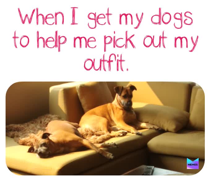 Meme by anonymous...