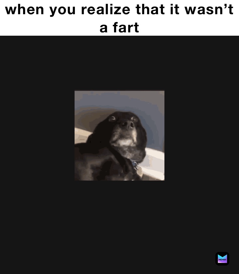 Meme by StinkyFart69420