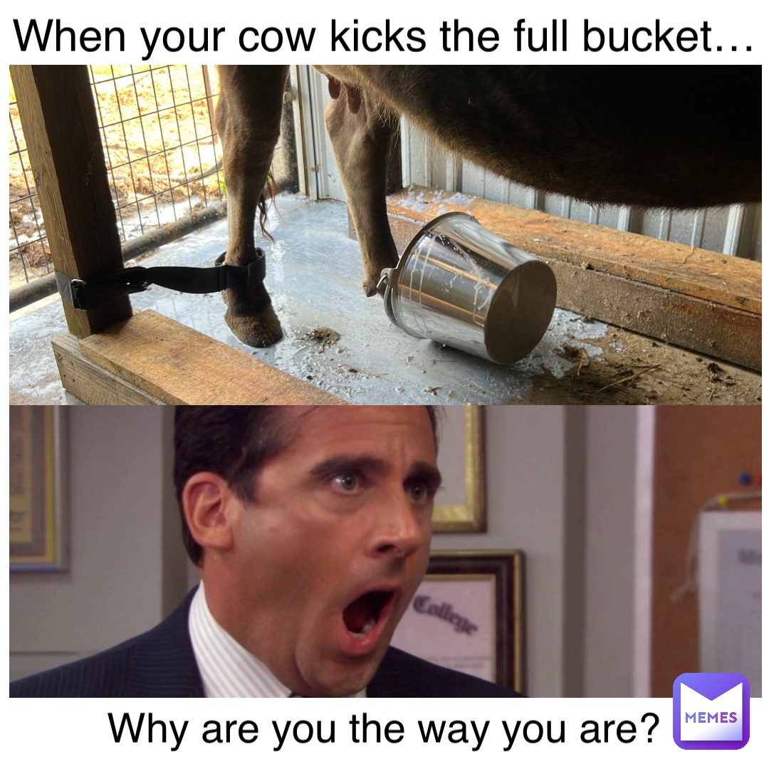 Why are you the way you are? When your cow kicks the full bucket…