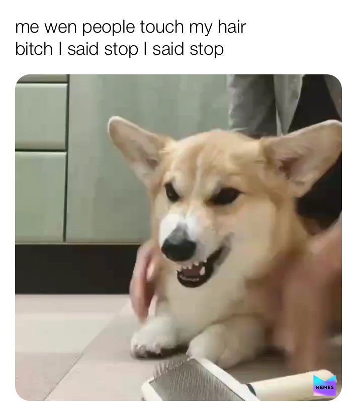 Meme by the_official_cece