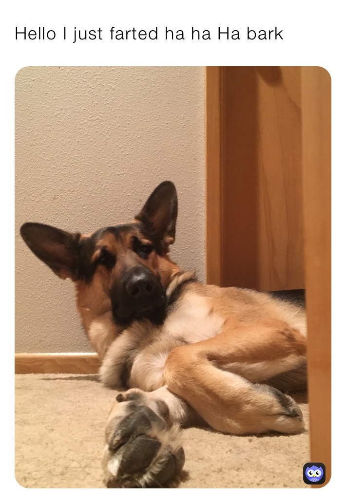 Hello I just farted ha ha Ha bark￼￼