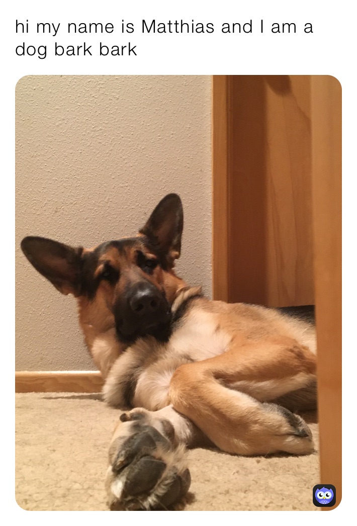 hi my name is Matthias and I am a dog bark bark￼