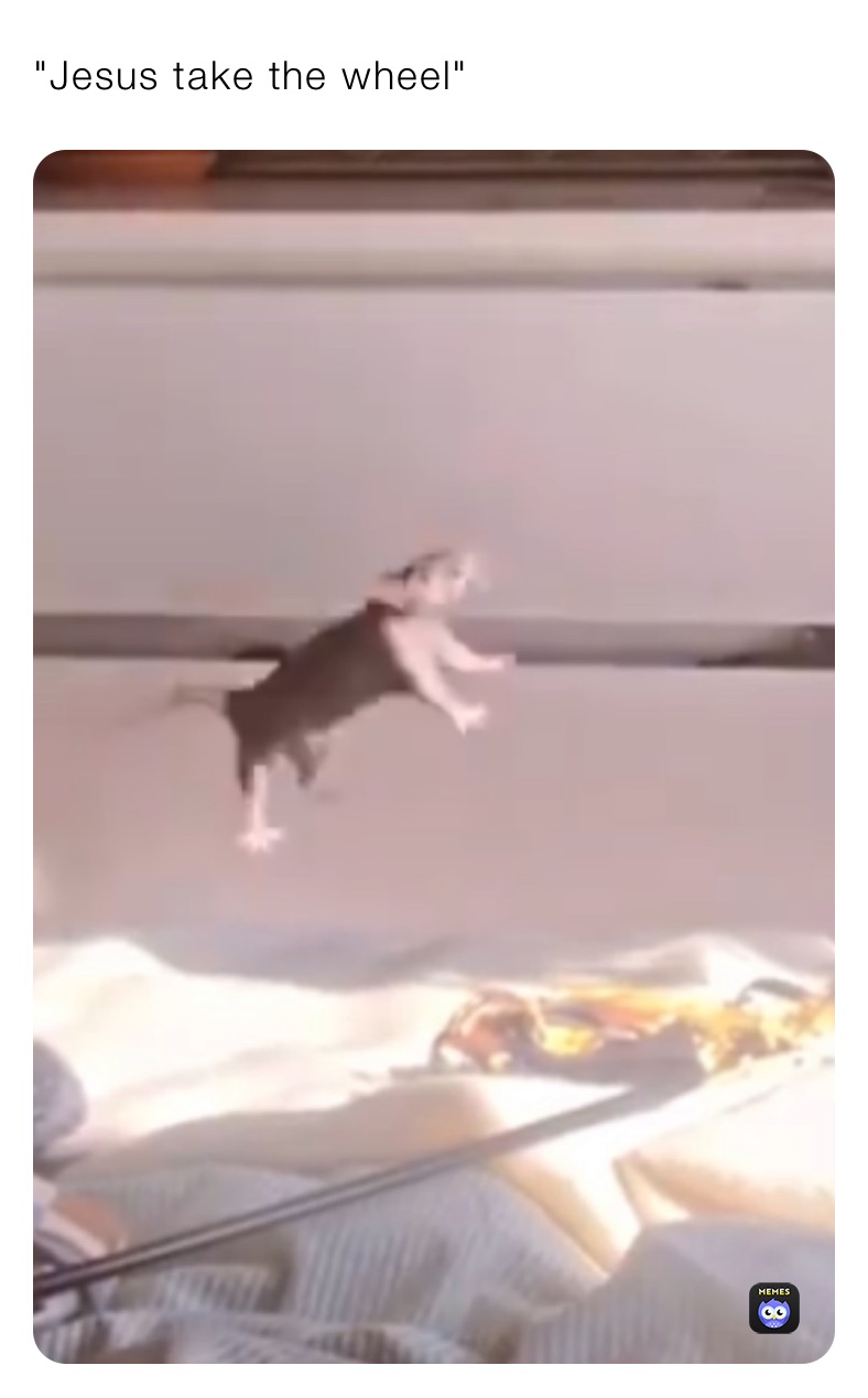 Meme by xavier-bouffard