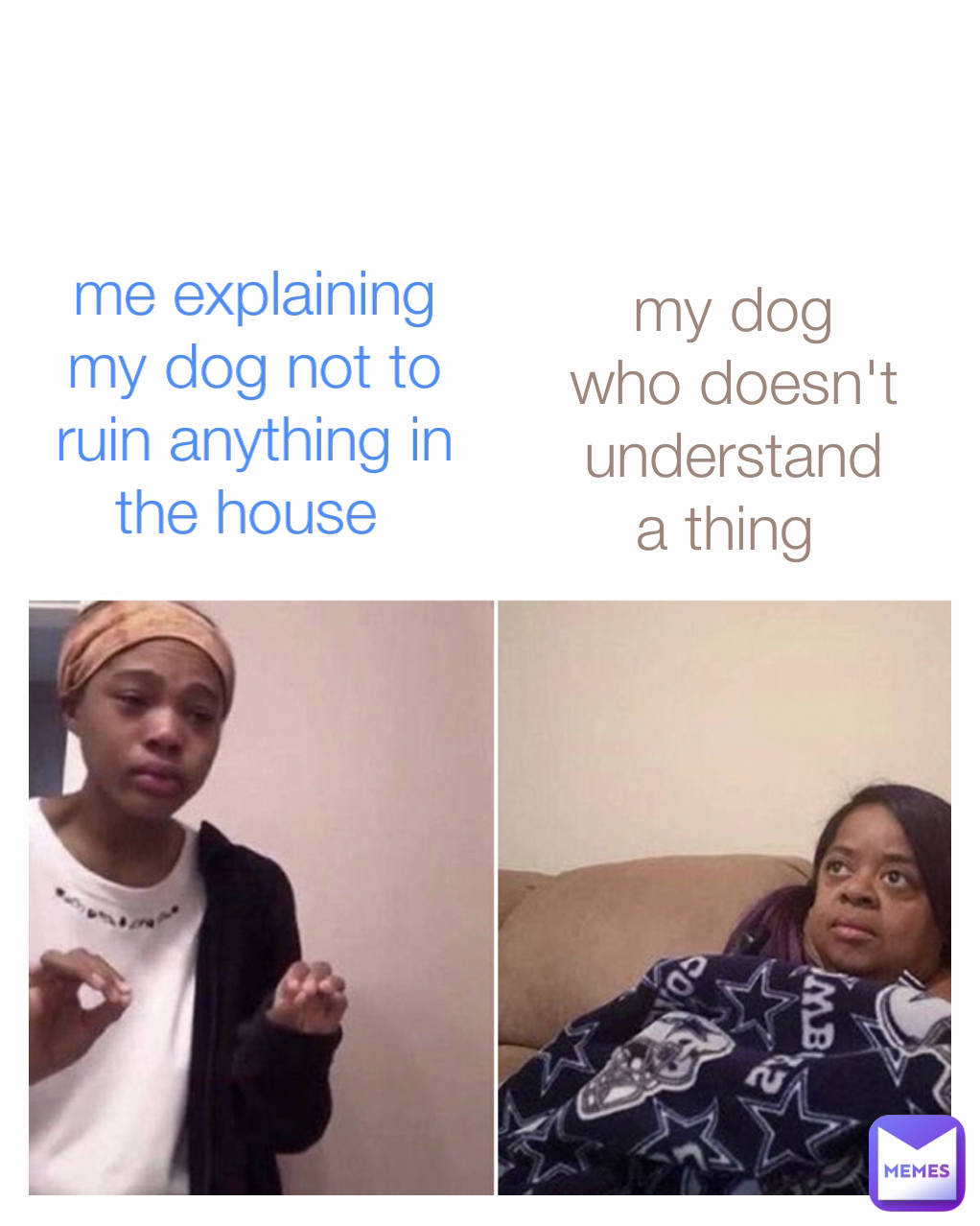 my dog who doesn't understand a thing  me explaining my dog not to ruin anything in the house  Type Text