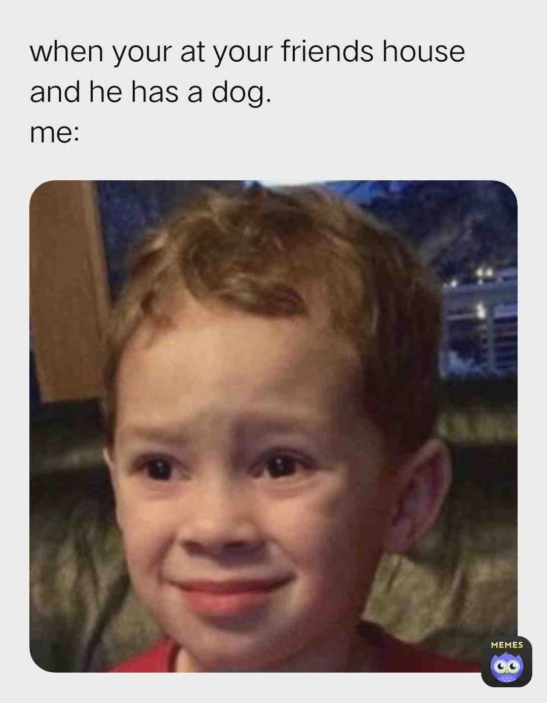 Sometime dogs are active i get scared but when they are not active i used to cuddle them😚😚😚🤣🤣😂😂