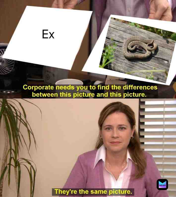 Meme shared by @Meme_Gaon